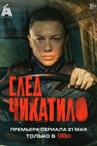След Чикатило — постер