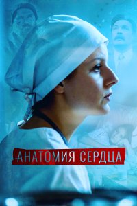  Анатомия сердца  — постер