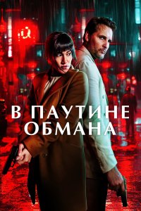  В паутине обмана  — постер