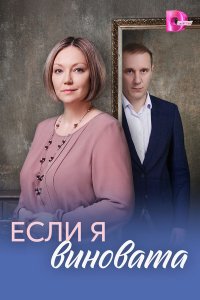  Если я виновата  — постер