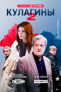  Кулагины  — постер