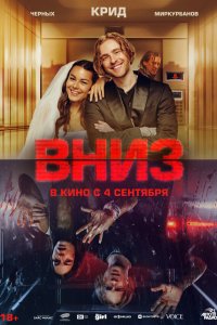  Вниз  — постер