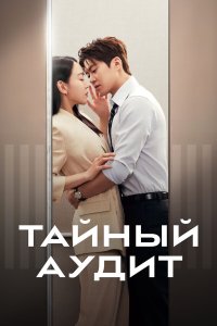  Тайный аудит  — постер