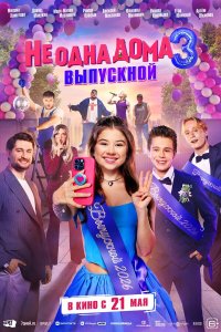  Не одна дома 3. Выпускной  — постер