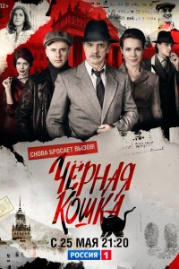  Чёрная кошка  — постер