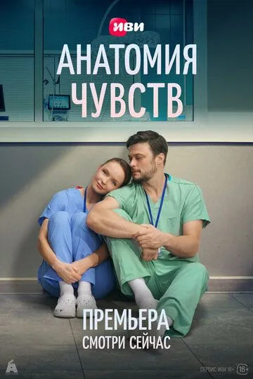 Анатомия чувств — постер